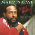 LPGaye Marvin / Sexual Healing / Vinyl / Coloured