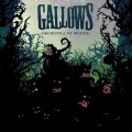 CDGallows / Orchestra Of Wolves