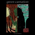 2LPGreen Carnation / Last Day Of Darkness / Vinyl / 2LP