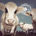 CDSteve'n'seagulls / Grainsville / Digisleeve