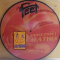 LPFeet / English Weather / 10"Picture / Vinyl