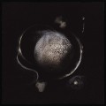 LPEnthroned / Cold Black Suns / Vinyl