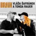 CDafrnek Vla a Rauer Tonda / Brain