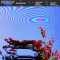 LPFriendly Fires / Inflorescent / Vinyl / Coloured