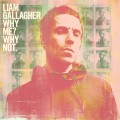CDGallagher Liam / Why Me? Why Not