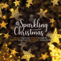 LPVarious / A Sparkling Christmas / Vinyl