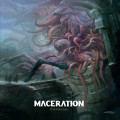 LPMaceration / It Never Ends / Vinyl