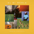2LPDi Meola Al / World Sinfonia / Vinyl / 2LP