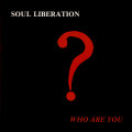 2LPSoul Liberation / Who Are You? / Vinyl / 2LP