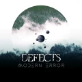 LP / Defects / Modern Error / Vinyl