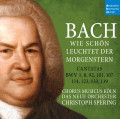 3CD / Spering Christoph / Bach:Wie Schn Leuchtet Der Morgens... / 3CD