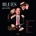 CDDavid Vrobel Trio/Such Ji/Molavcov Jitka / Blues pro tebe