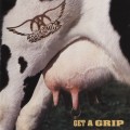 2LPAerosmith / Get A Grip / Vinyl / 2LP