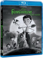 Blu-RayBlu-ray film /  Frankenweenie:Domc mazlek / Blu-Ray