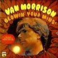 LPMorrison Van / Blowin' Your Mind / Vinyl