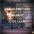 CDCullum Jamie / Momentum