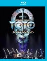 Blu-RayToto / 35th Anniversary Tour / Live In Poland / Blu-Ray