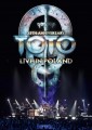 DVDToto / 35th Anniversary Tour / Live In Poland