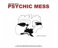 LPCreative Adult / Psychic Mess / Vinyl