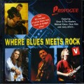 CDVarious / Where Blues Meets Rock V