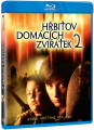 Blu-RayBlu-ray film /  Hbitov domcch zvtek / Pet Sematary / Blu-Ray
