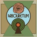 LPArbouretum / Let It All In / Vinyl / Coloured