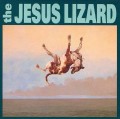 LPJesus Lizard / Down / Vinyl