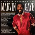 LPGaye Marvin / Every Great Motown Hit Of Marvin Gaye:... / Vinyl