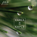 CDFlair Ensemble / Kapka ke kapce