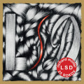 2LPMller Richard / LSD / Vinyl / 2LP