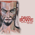 11CDBowie David / Brilliant Adventure 1992-2001 / Box / 11CD