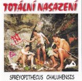 CDTotln Nasazen / Spreyopithecus chaluhensis