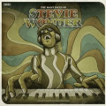 2LPWonder Stevie / Many Faces Of Stevie Wonder / Vinyl / Colored / 2LP
