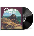 LPGrateful Dead / Wake of the Flood / 50th Anniversary / Vinyl