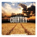 2CDVarious / esk country hity / 2CD