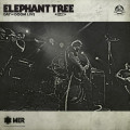 LPElephant Tree / Day of Doom - Live / Vinyl / Limited / Dark Green